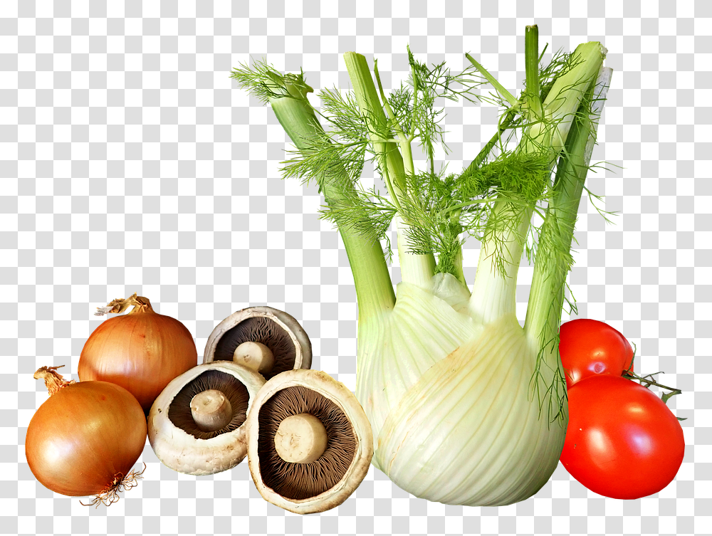 Vegetables Onions Fennel Tomato Mushroom Cooking Food To Eat When On Your Period, Plant, Produce, Potted Plant, Vase Transparent Png