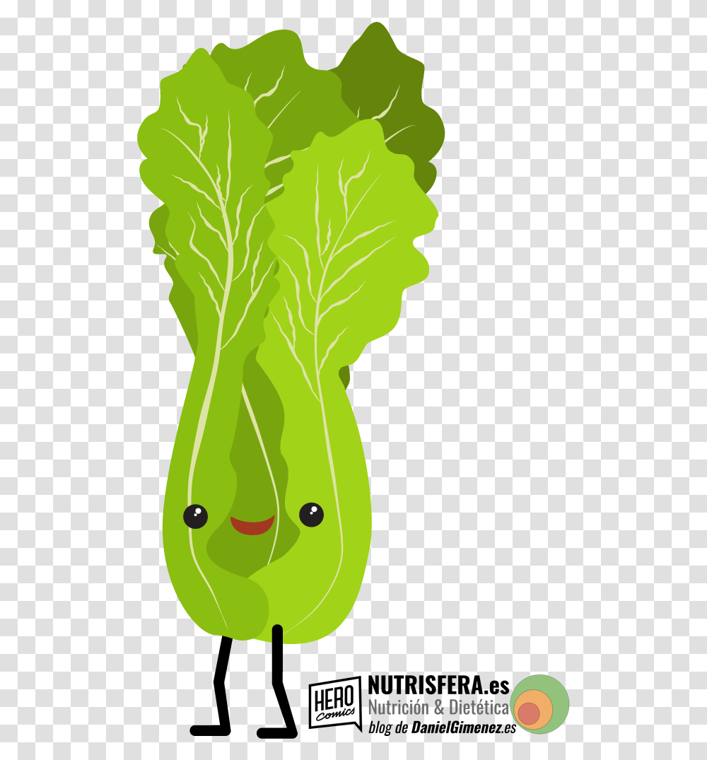 Vegetales, Plant, Vegetable, Food, Kale Transparent Png