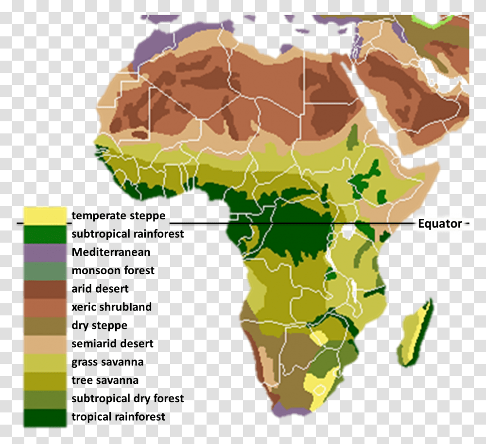 Vegetation Africa Ancient Africa Geography, Map, Diagram, Plot, Plant Transparent Png