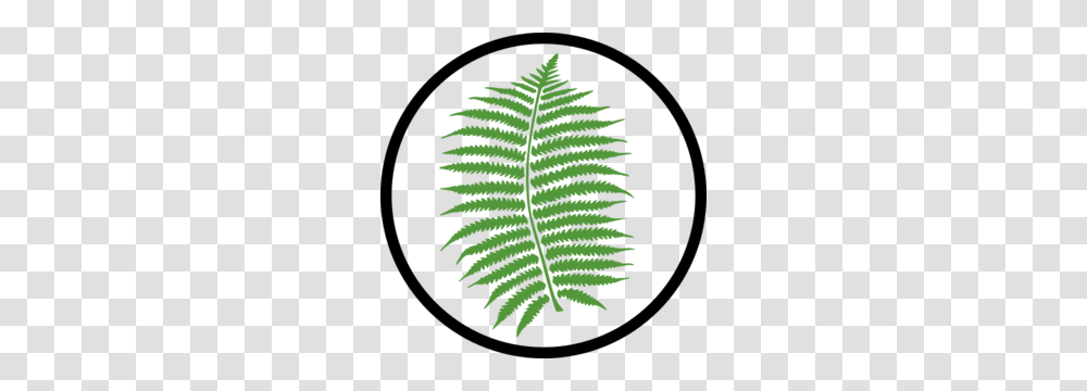 Vegetation Cliparts, Plant, Fern, Leaf Transparent Png