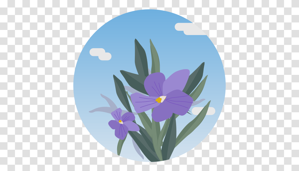 Vegetation Flowers Plants Teide Grasses, Blossom, Crocus Transparent Png