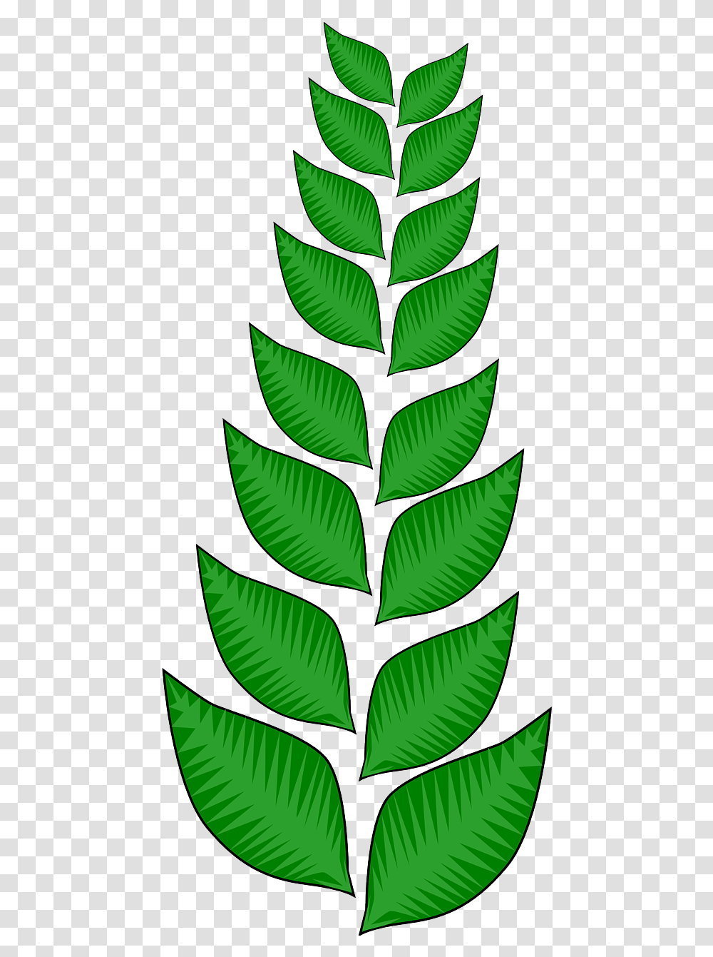 Vegetation, Leaf, Plant, Green Transparent Png