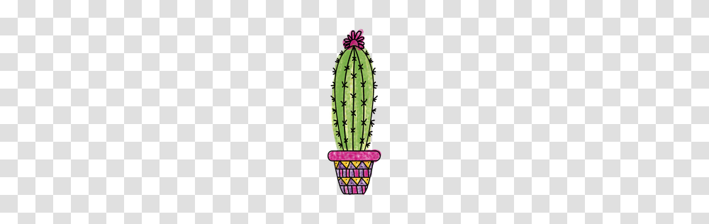 Vegetation Or To Download, Plant, Cactus Transparent Png