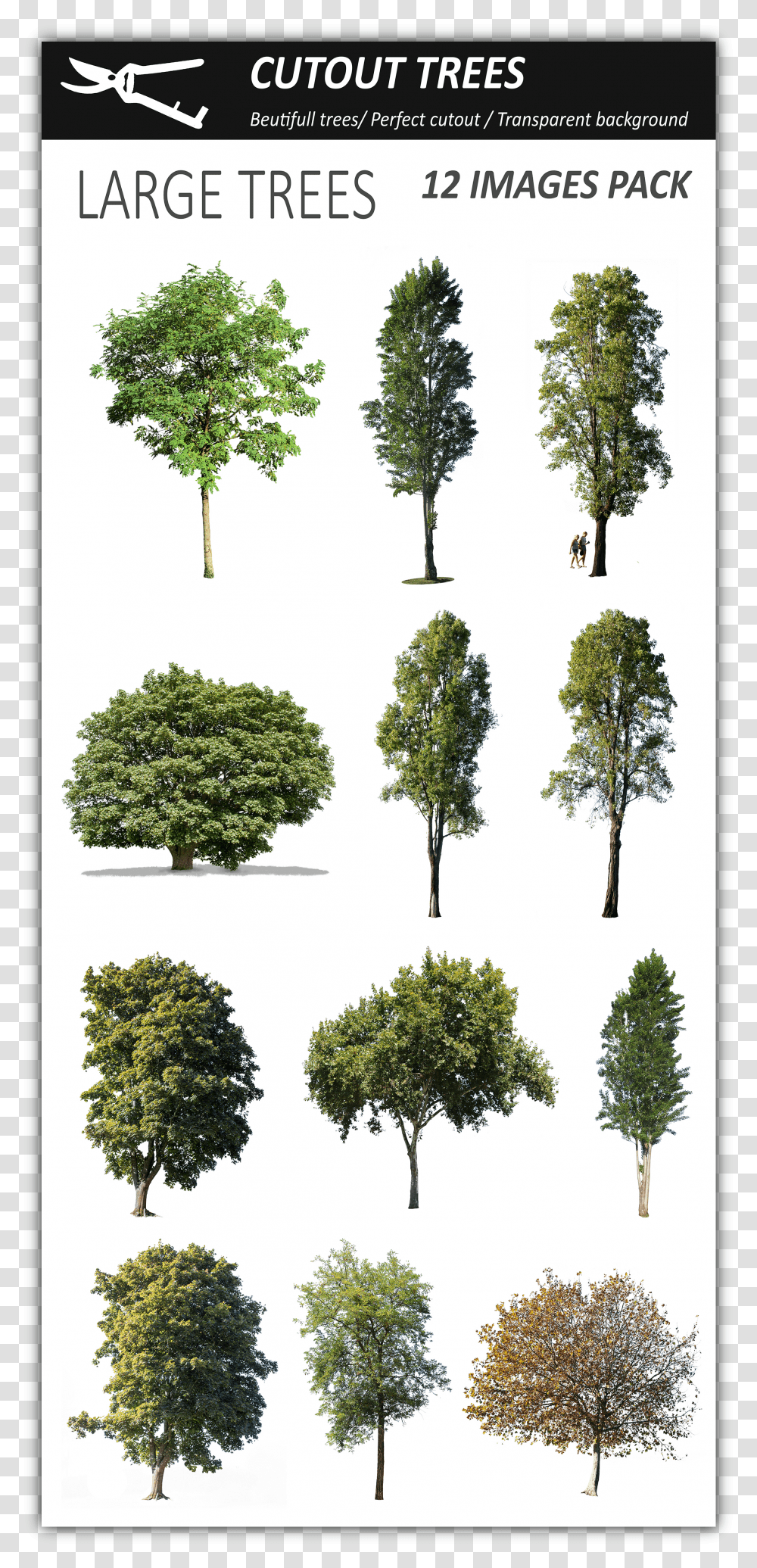 Vegetation Photoshop Transparent Png