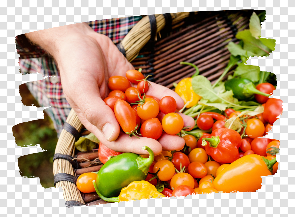 Veggie Basket Organic Farm Food, Plant, Person, Vegetable, Pepper Transparent Png