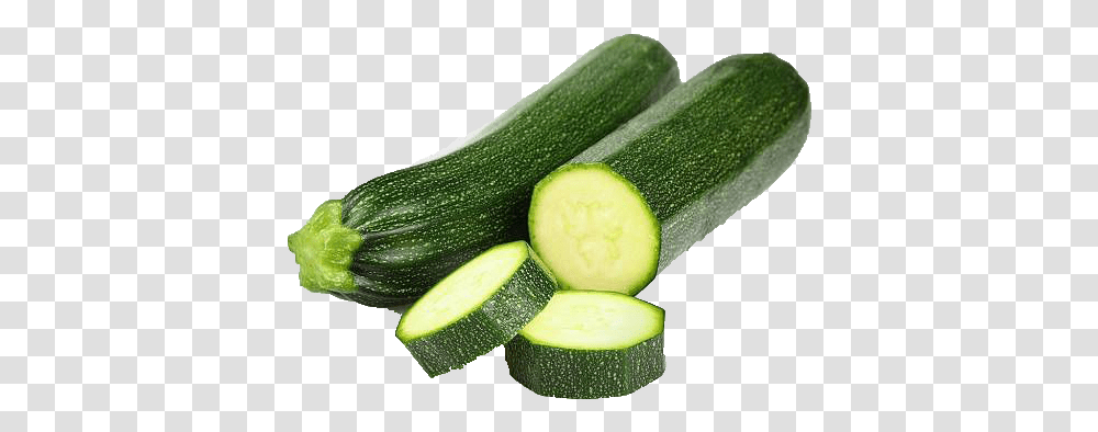 Veggiefood Zucchini, Plant, Tennis Ball, Sport, Sports Transparent Png