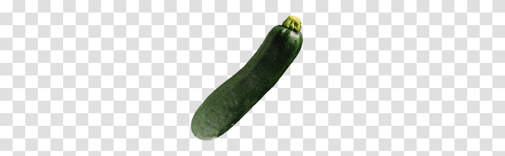 Veggilish, Plant, Cucumber, Vegetable, Food Transparent Png