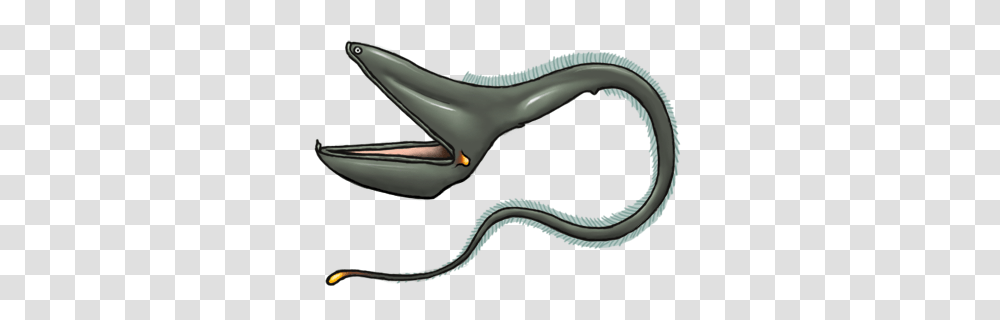 Vehicle, Transportation, Eel, Fish Transparent Png