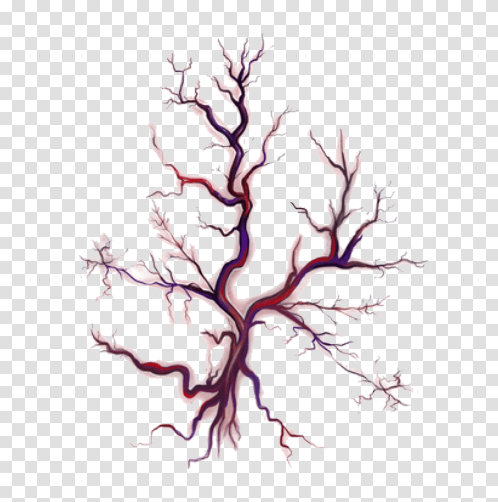 Veins, Plant, Root, Nature, Outdoors Transparent Png