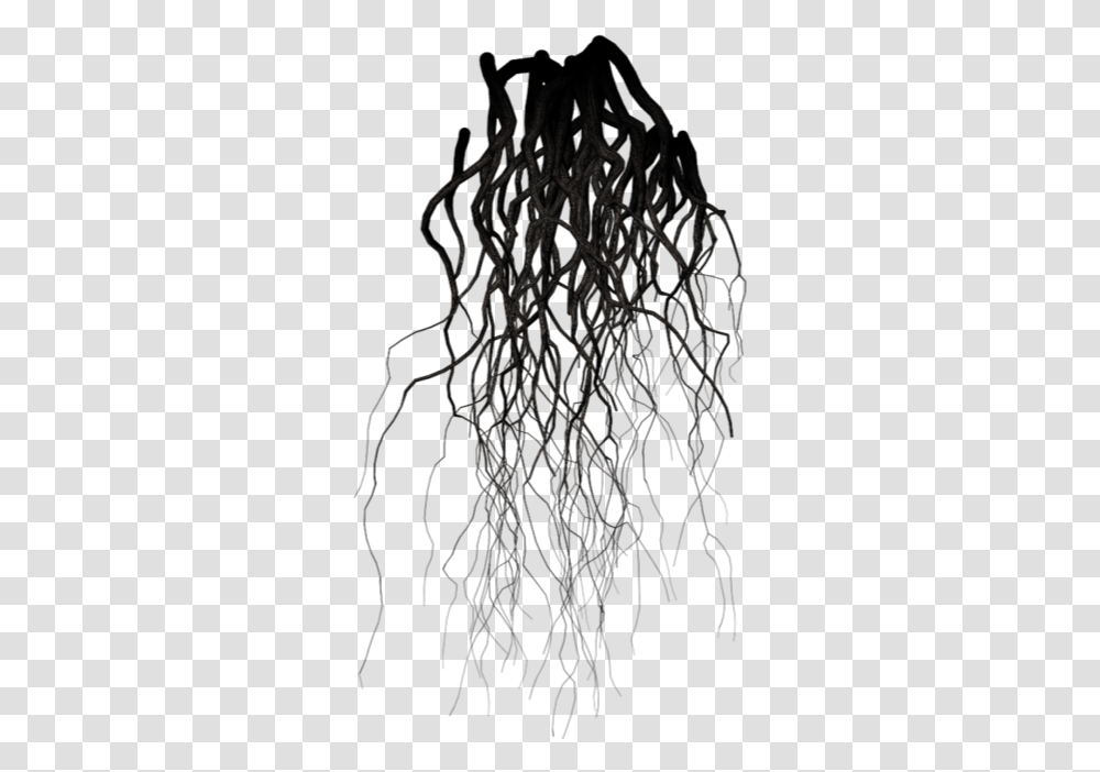 Veins Report Abuse Background Roots, Plant, Tree, People, Person Transparent Png
