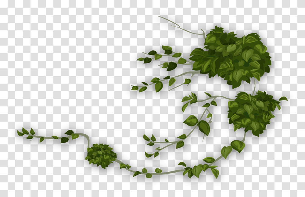 Vektor Tanaman Rambat, Leaf, Plant, Tree, Green Transparent Png