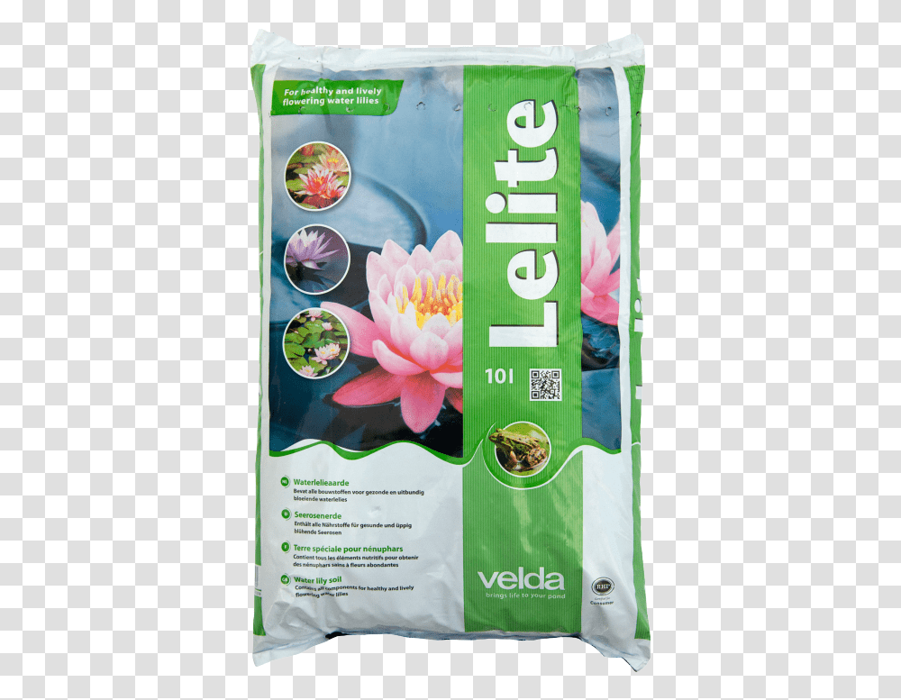 Velda Lelite, Advertisement, Poster, Flyer, Paper Transparent Png