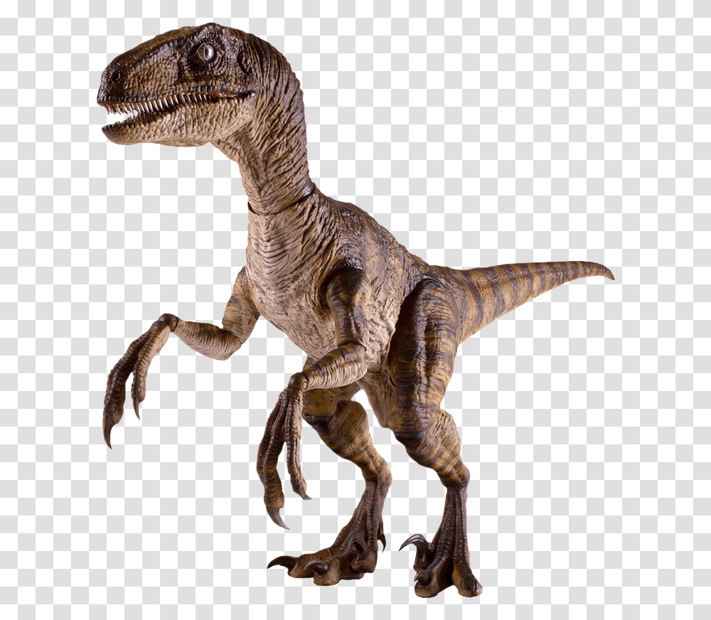 Velociraptor 16th Scale Action Figure Jurassic Park Velociraptor, Dinosaur, Reptile, Animal Transparent Png