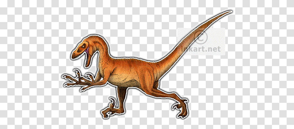 Velociraptor 2 Image Drawing, Axe, Tool, Dinosaur, Reptile Transparent Png