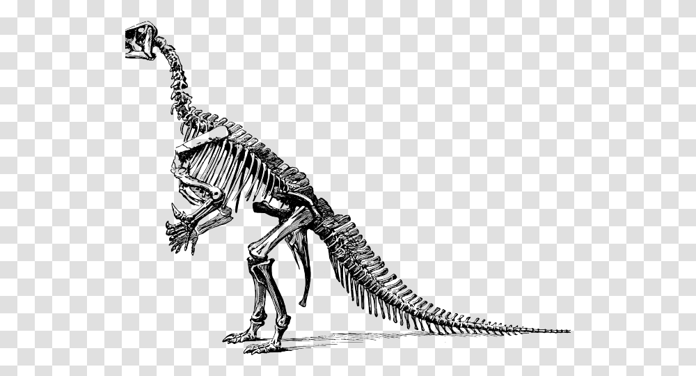 Velociraptor Clipart Cute Dinosaur Dinosaurs Didn't Read Now They're Extinct Poster, Skeleton, Animal, Reptile, Person Transparent Png