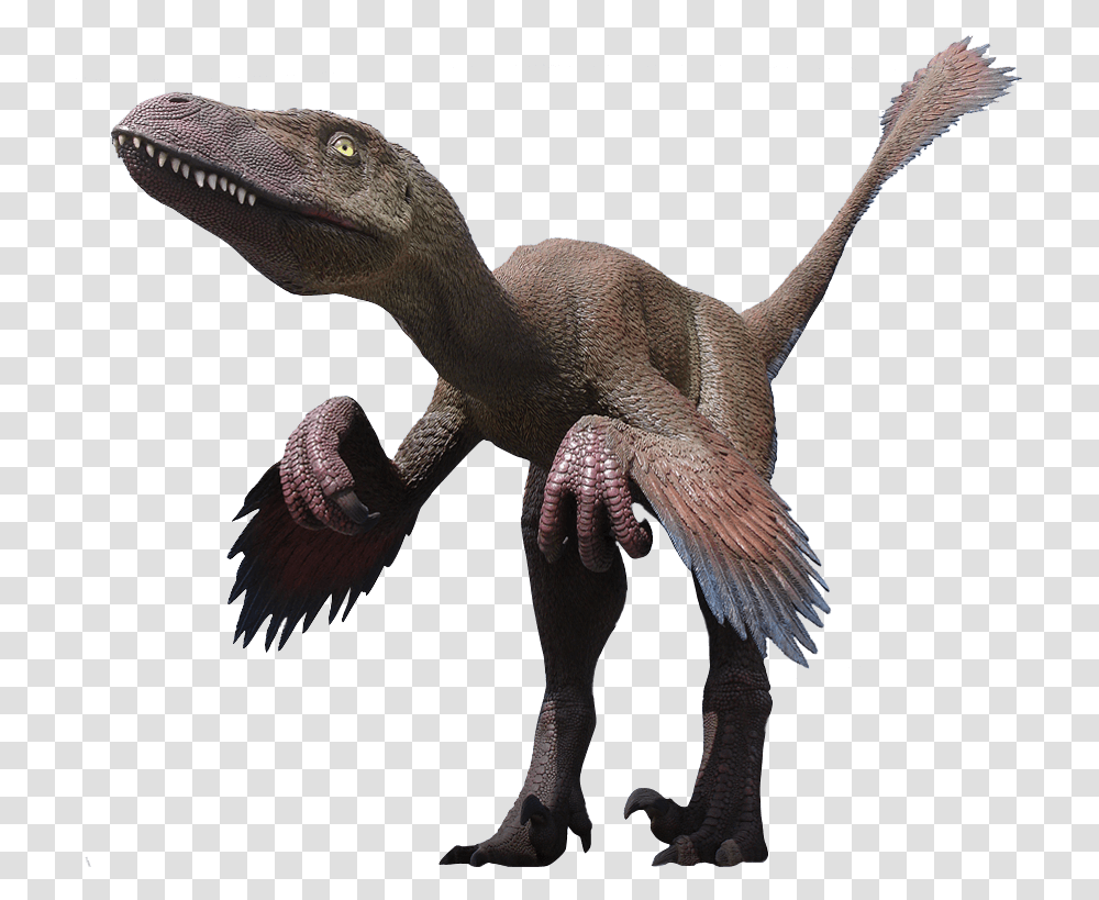Velociraptor Clipart Deinonychus, Dinosaur, Reptile, Animal, T-Rex Transparent Png