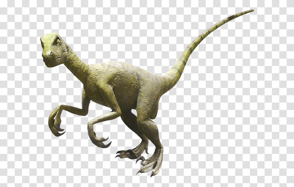Velociraptor Clipart Real Dinosaur Clipart, Reptile, Animal, T-Rex Transparent Png