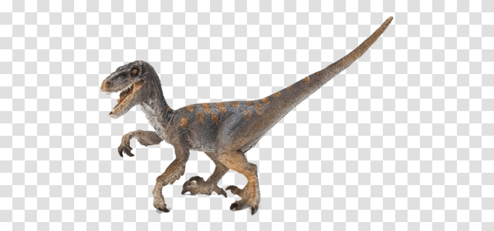 Velociraptor Cretaceous Period Dinosaurs, Reptile, Animal, T-Rex, Lizard Transparent Png
