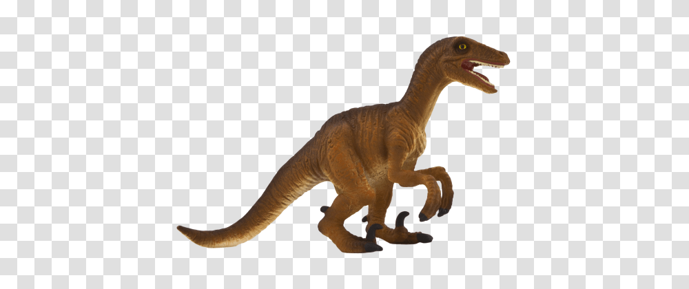 Velociraptor Crouching, Dinosaur, Reptile, Animal, T-Rex Transparent Png