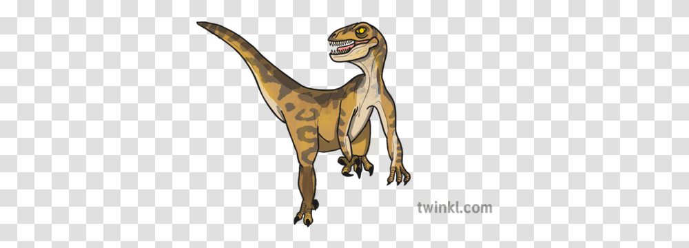Velociraptor Dinosaur Illustration Twinkl Animal Figure, Reptile, T-Rex, Horse, Mammal Transparent Png