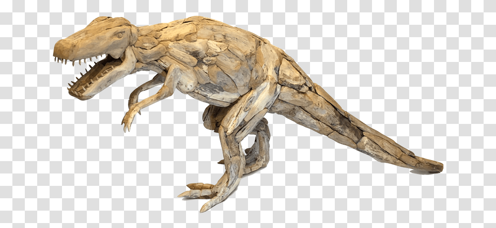 Velociraptor, Dinosaur, Reptile, Animal, T-Rex Transparent Png