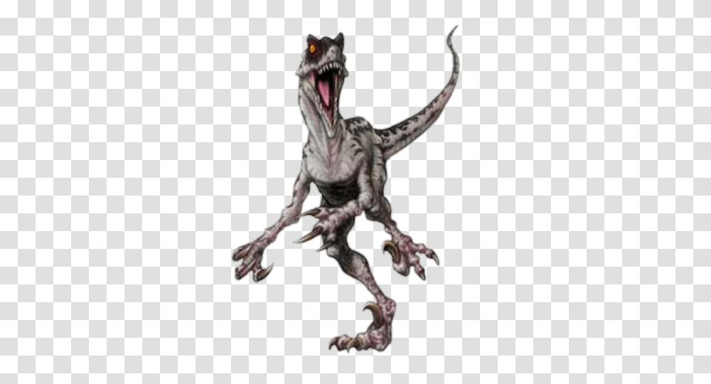 Velociraptor, Dinosaur, Reptile, Animal, T-Rex Transparent Png