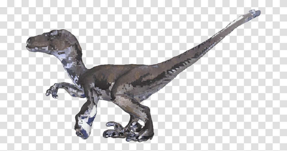 Velociraptor, Dinosaur, Reptile, Animal, T-Rex Transparent Png