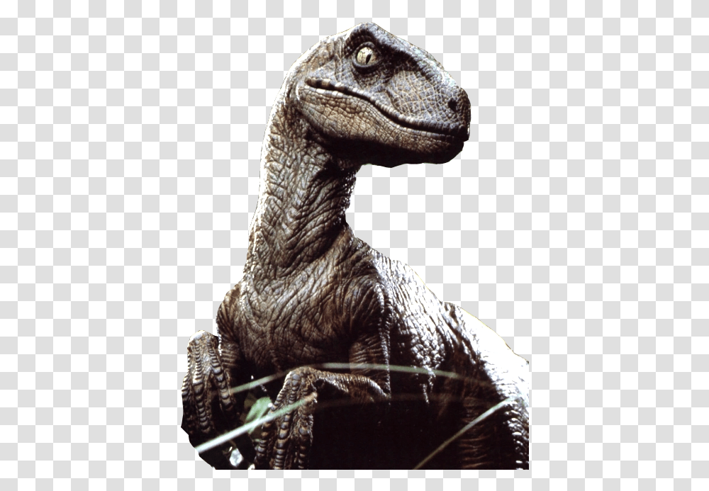 Velociraptor File Jurassic Park Googly Eyes, Dinosaur, Reptile, Animal, T-Rex Transparent Png