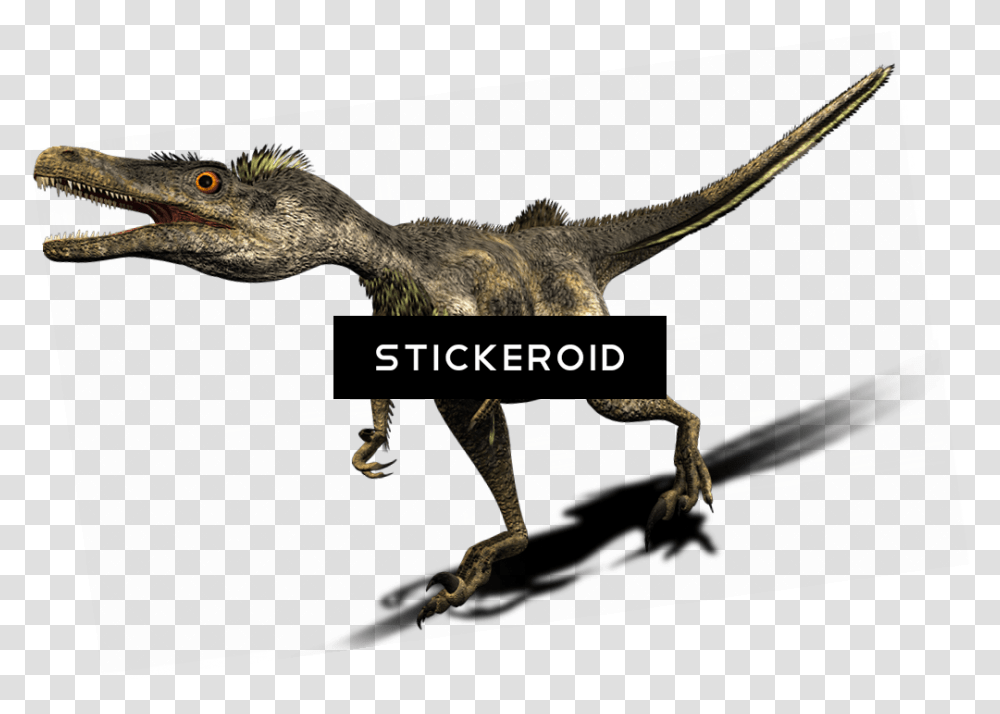 Velociraptor Image Dinosaur, Bird, Animal, Reptile, T-Rex Transparent Png