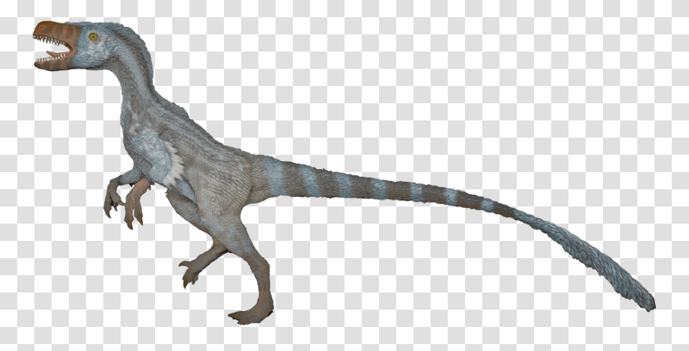 Velociraptor Images, Dinosaur, Reptile, Animal, Bird Transparent Png