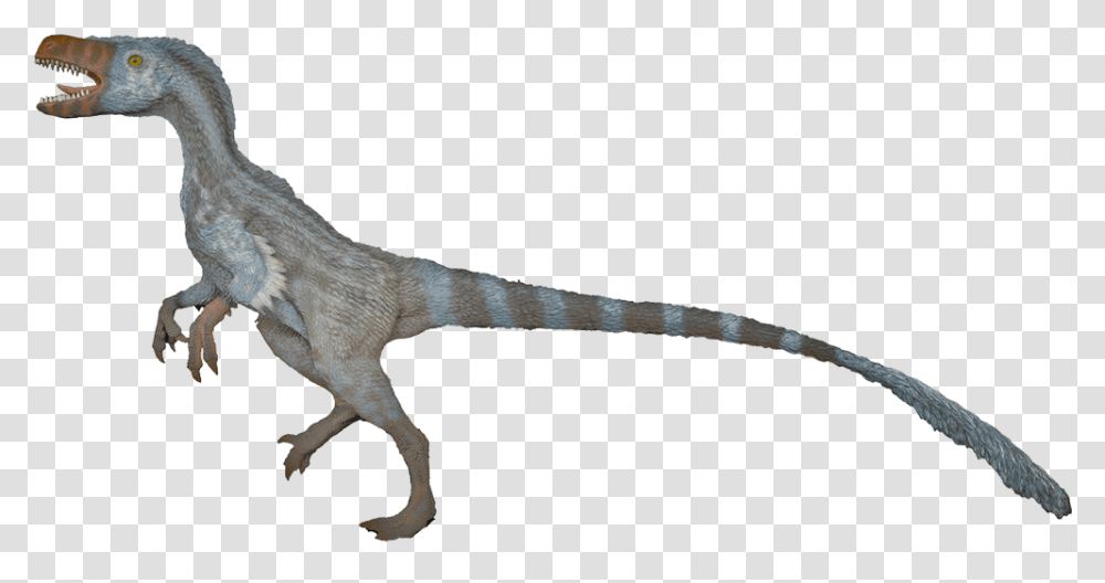 Velociraptor Images Velociraptor Clipart Background, Dinosaur, Reptile, Animal, T-Rex Transparent Png