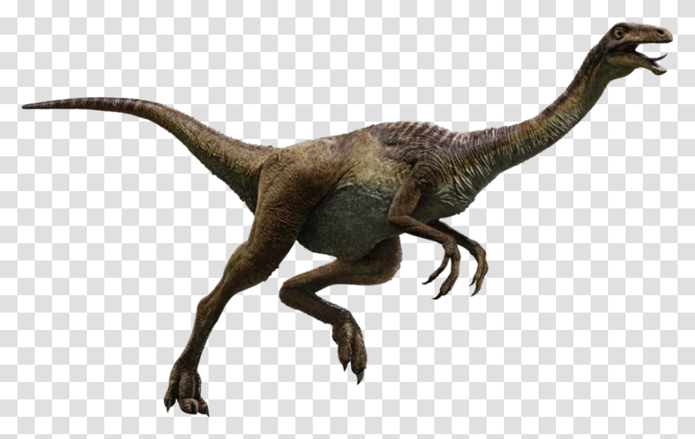 Velociraptor Jurassic World Dinosaurs Gallimimus, Reptile, Animal, T-Rex, Lizard Transparent Png