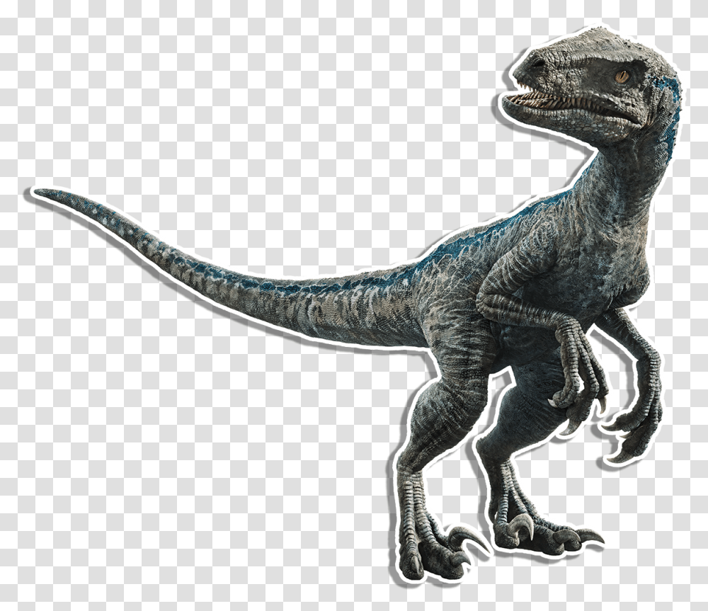 Velociraptor Secondary Velociraptor Blue, Reptile, Animal, Dinosaur, T-Rex Transparent Png