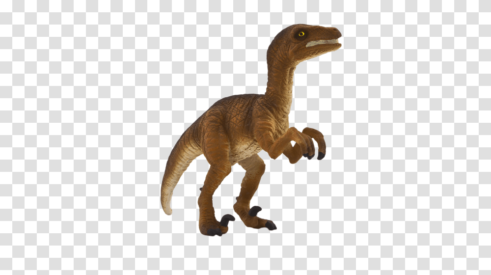 Velociraptor Standing, Dinosaur, Reptile, Animal, T-Rex Transparent Png