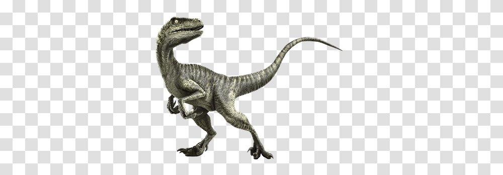 Velociraptor Stuff I Like And References Jurassic, Dinosaur, Reptile, Animal, T-Rex Transparent Png
