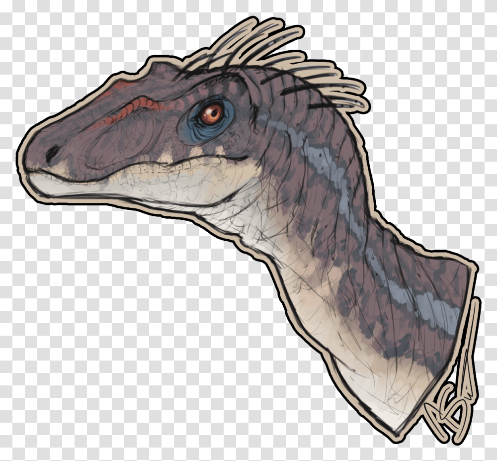 Velociraptor, T-Rex, Dinosaur, Reptile, Animal Transparent Png