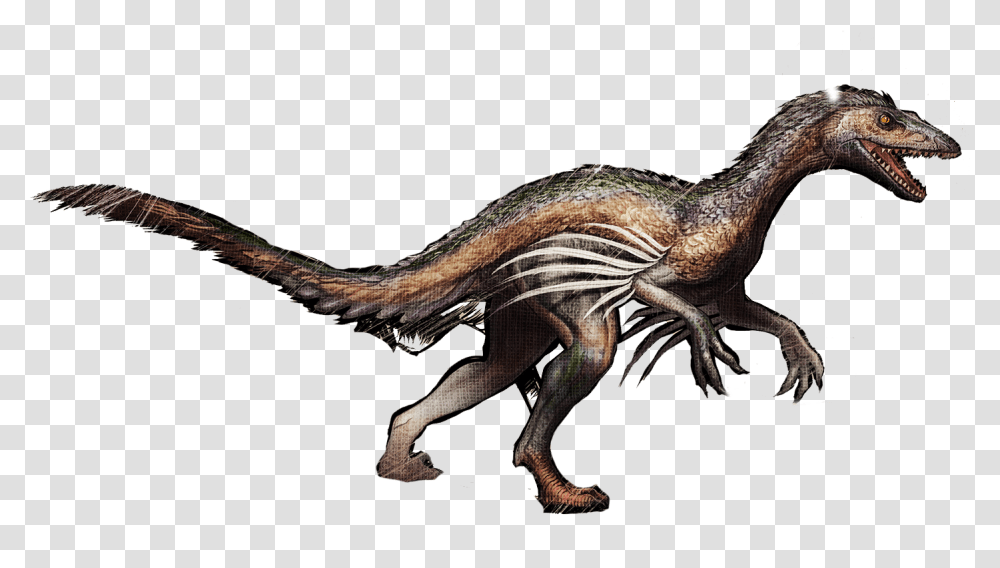 Velociraptor Troodon Survival Evolved Tyrannosaurus Ark Troodon, Dinosaur, Reptile, Animal, T-Rex Transparent Png