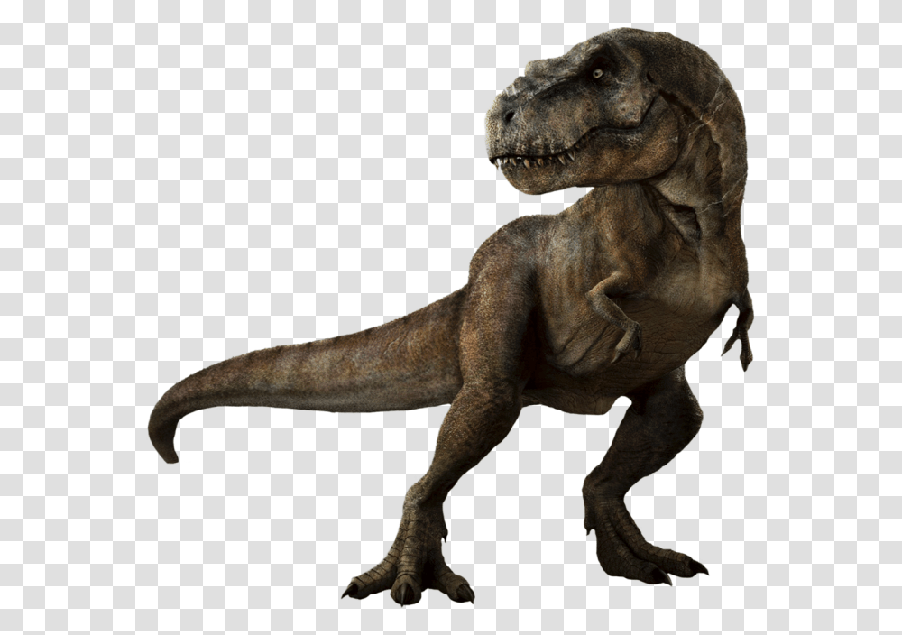 Velociraptor Tyrannosaurus Dinosaur Clip Art, Reptile, Animal, T-Rex, Lion Transparent Png