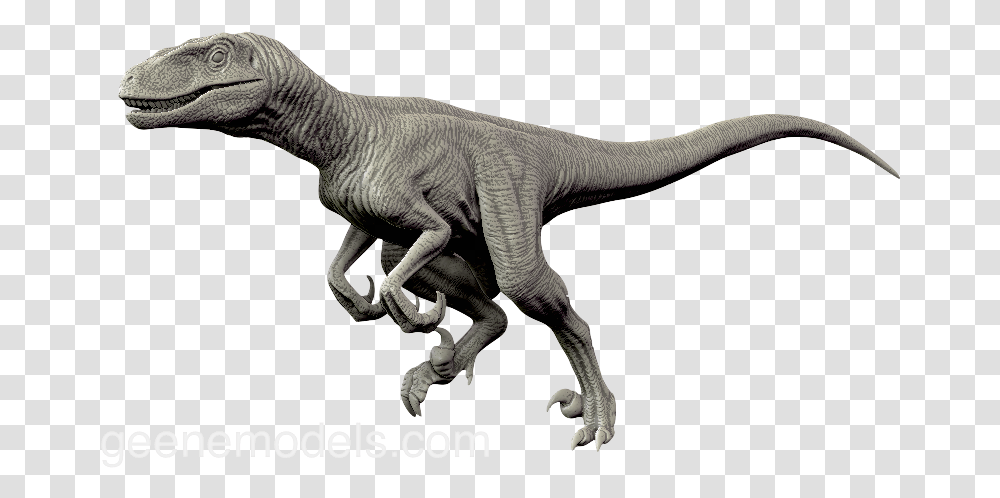 Velociraptor Velociraptor, Dinosaur, Reptile, Animal, T-Rex Transparent Png