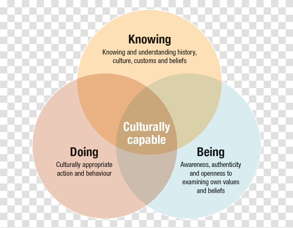 Venn Diagram Of The Knowing Doing Being Framework Army Institute Of Hotel Management, Tape, Plot Transparent Png