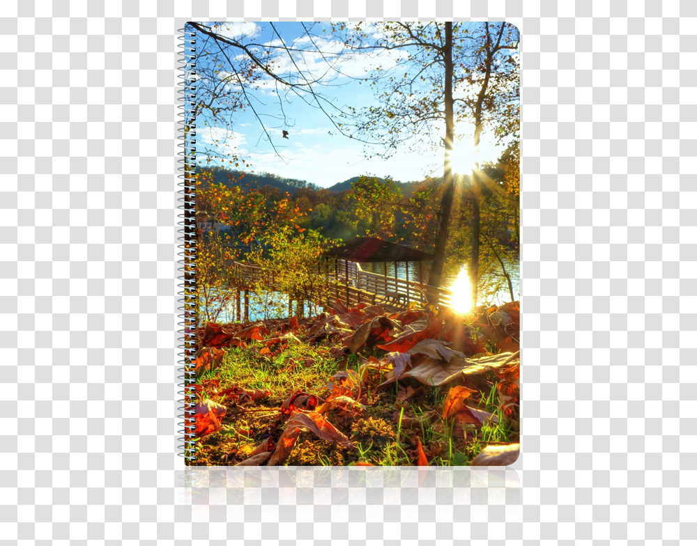 Venta Caliente Logotipo Impreso Barato Mini Cuaderno Painting, Flare, Light, Sunlight, Plant Transparent Png