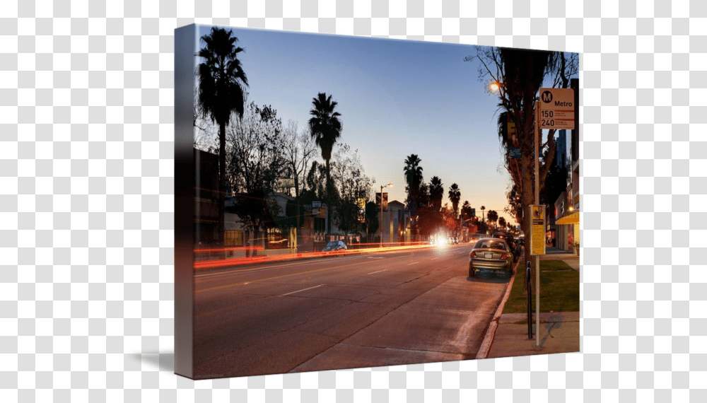 Ventura Blvd Street, Car, Road, Plant, Path Transparent Png
