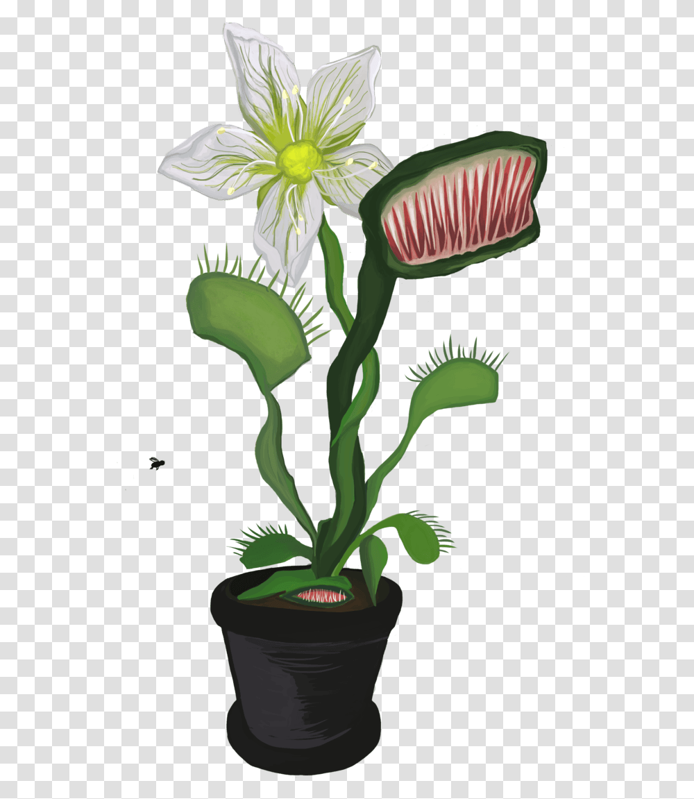 Venus Fly Trap Artificial Flower, Plant, Flower Arrangement, Anther, Amaryllidaceae Transparent Png