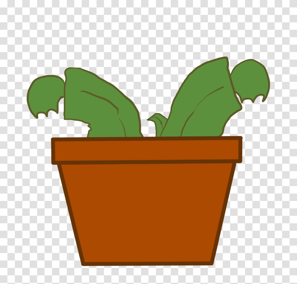 Venus Flytrap Sad Idle, Plant, Box, Bucket, Fruit Transparent Png