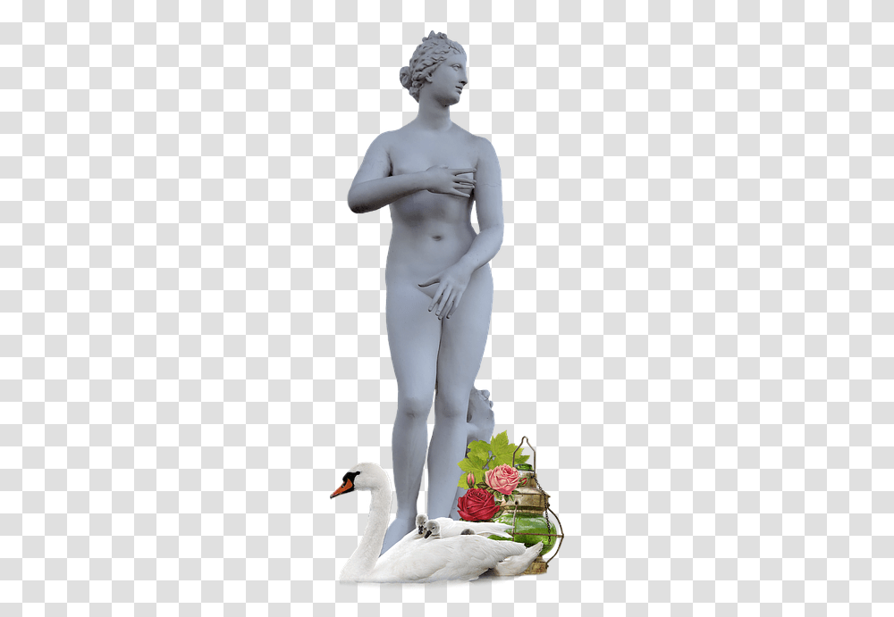 Venus Goddess, Person, Torso, Bird, Animal Transparent Png