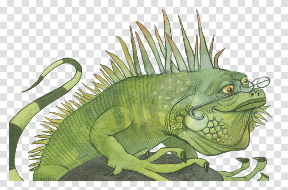Veoleo Iguana, Lizard, Reptile, Animal Transparent Png