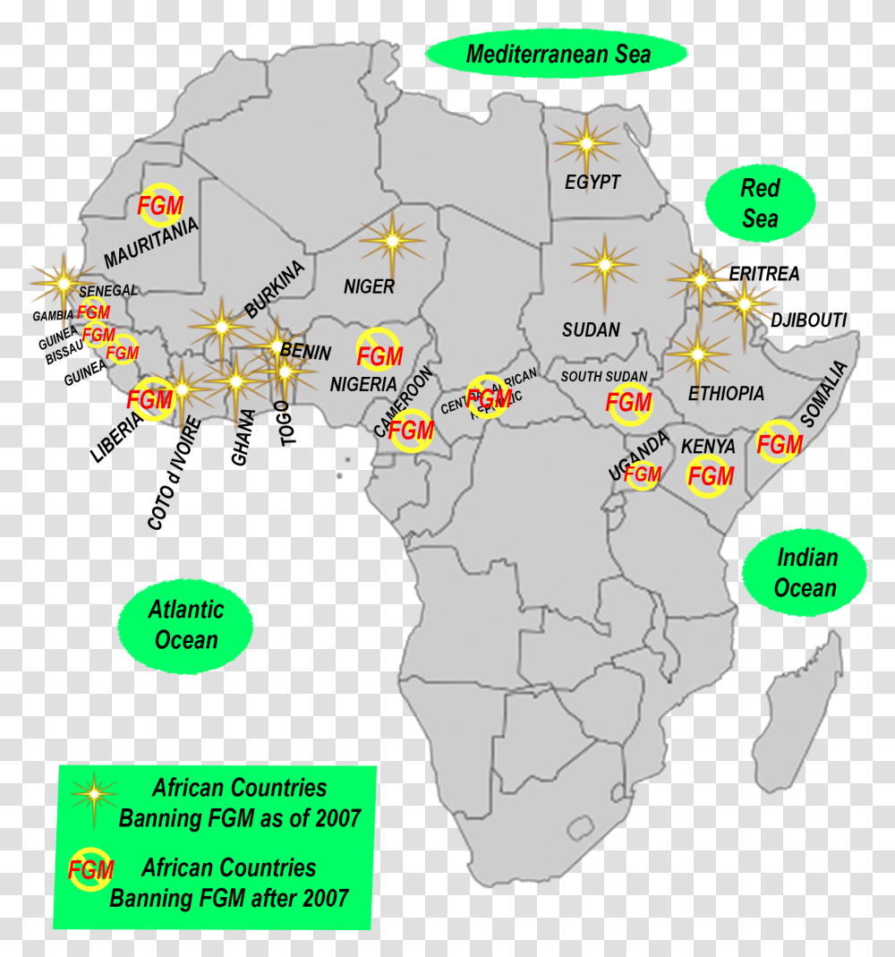 Ver 9 African Countries Banning Fgm 2007 Vs 2019 Gold Star Africa Map, Plot, Diagram, Poster, Vegetation Transparent Png