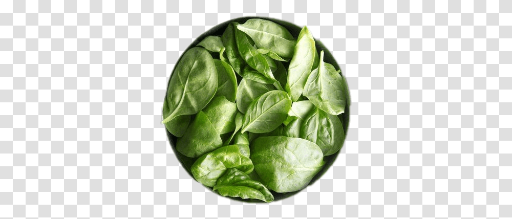 Verde Espinacas High Iron Foods, Spinach, Vegetable, Plant, Meal Transparent Png