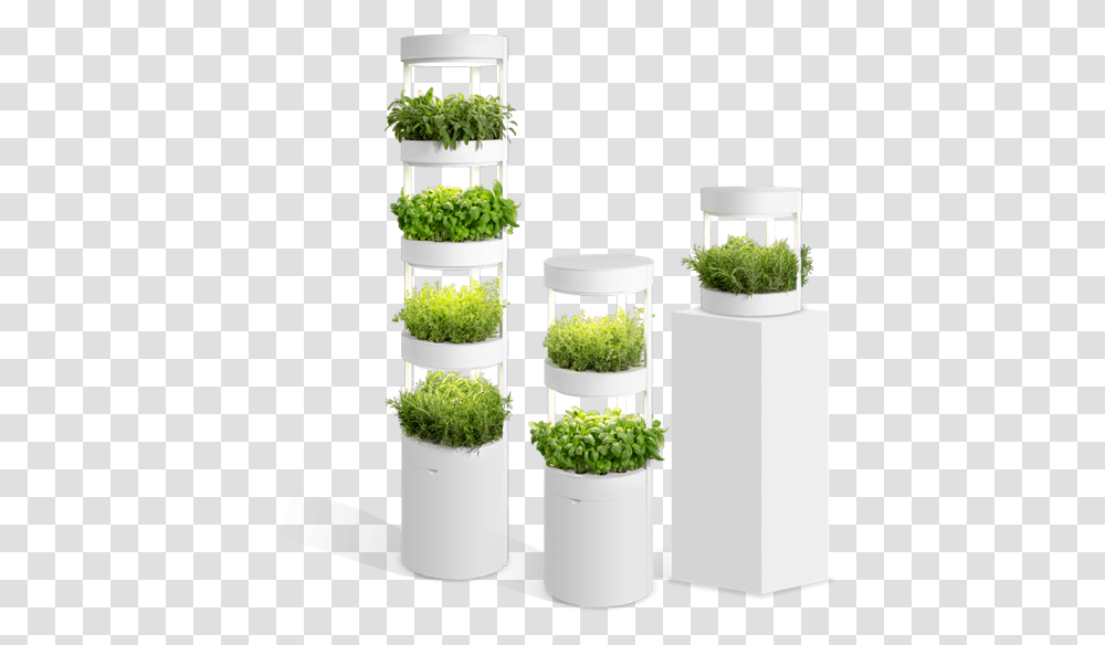 Verdeat Products In 3 Sizes Verdeat Kickstarter, Potted Plant, Vase, Jar, Pottery Transparent Png
