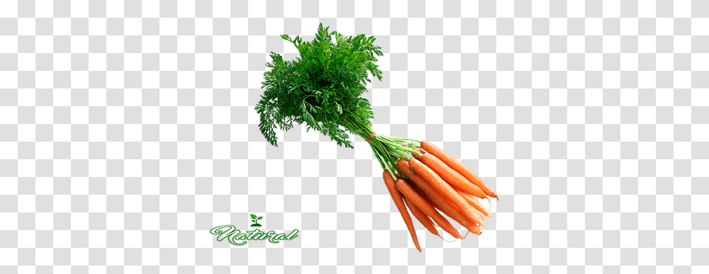 Verduras Alicante Superfood, Plant, Carrot, Vegetable, Root Transparent Png